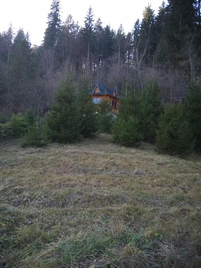 Villa На Полумистому Mykulytschyn Exterior foto